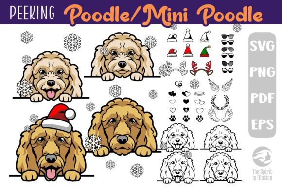 Download Poodle PNG, SVG, Clipart &amp; Cutfiles - Cutfiles Collection